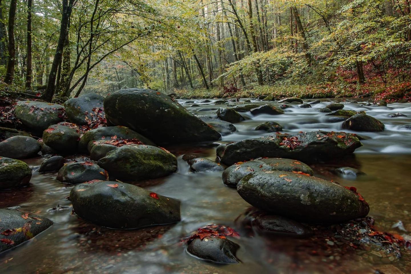 Romantic Mtn Cabin Hot Tub & Jacuzzi Views Sevierville Exteriér fotografie