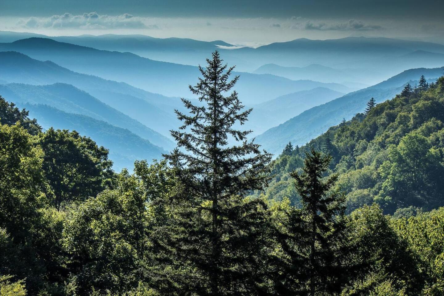Romantic Mtn Cabin Hot Tub & Jacuzzi Views Sevierville Exteriér fotografie