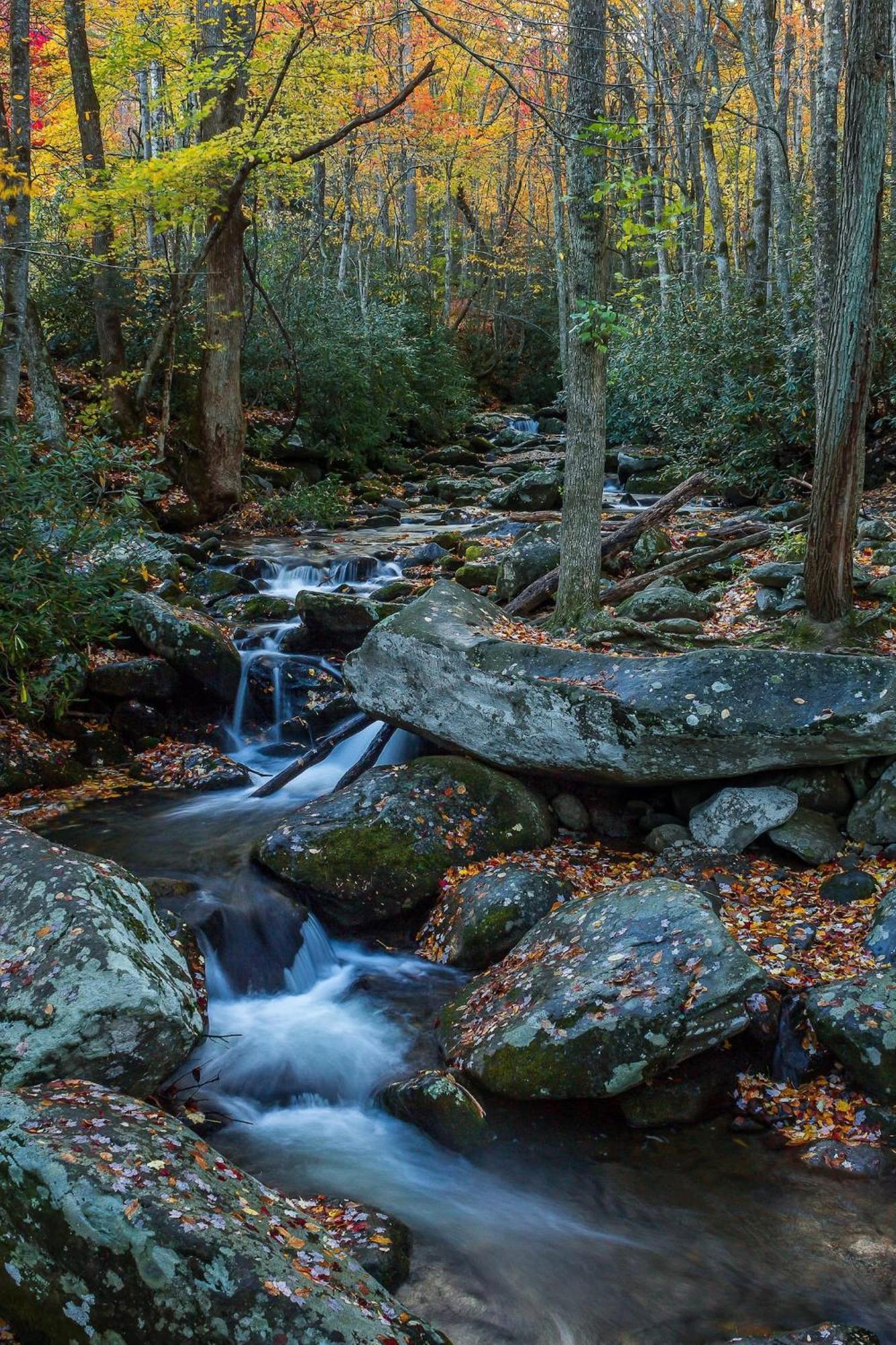 Romantic Mtn Cabin Hot Tub & Jacuzzi Views Sevierville Exteriér fotografie
